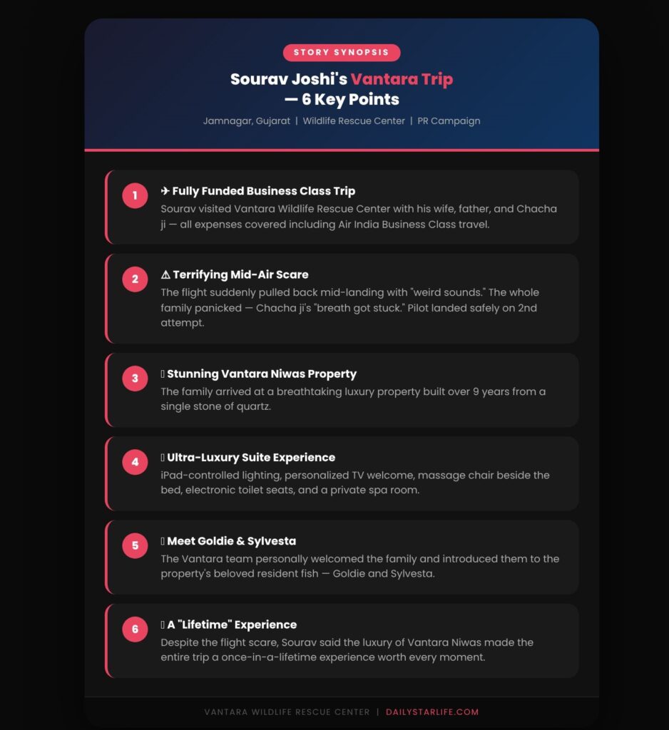 vantara_synopsis_infographic
